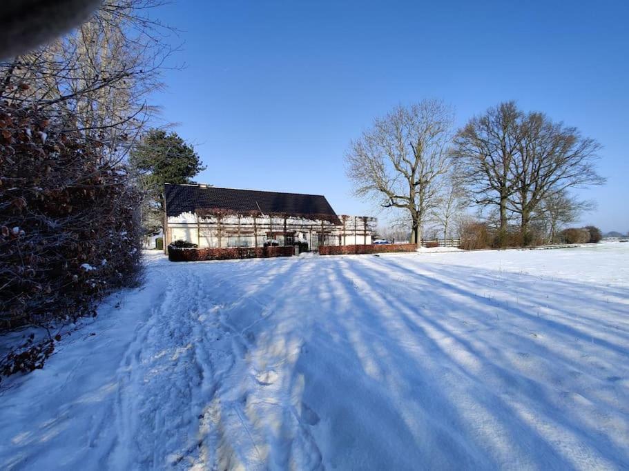 The Horst Cottage Holsbeek Esterno foto