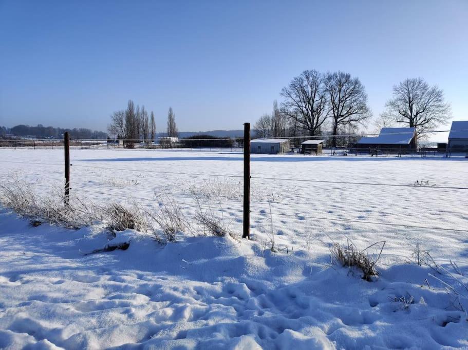 The Horst Cottage Holsbeek Esterno foto
