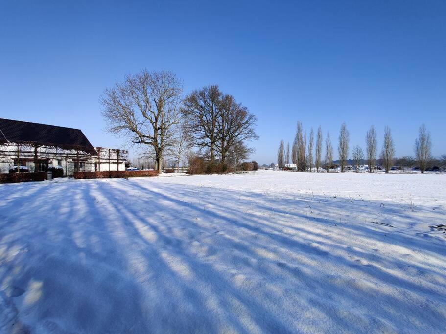 The Horst Cottage Holsbeek Esterno foto