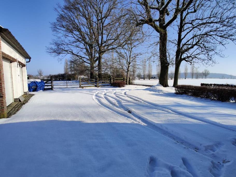 The Horst Cottage Holsbeek Esterno foto
