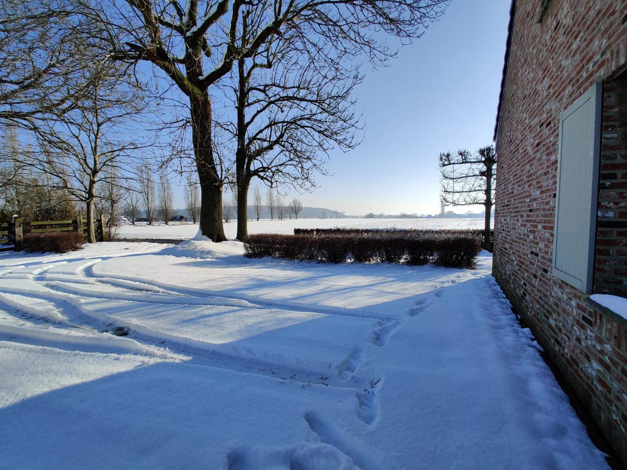 The Horst Cottage Holsbeek Esterno foto